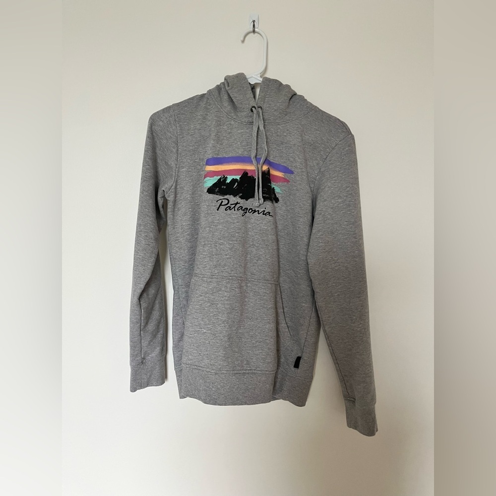 Patagonia Free Hand Fitz Roy Ahnya Hoodie in gray - Picture 5 of 13